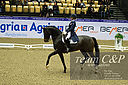 Filnavn=_DSC0558.jpg
Filstørrelse=3126KiB
Dimensioner=4999x3324
Dato for tilføjelse=%22 %833, %2021 _DSC0558.jpg