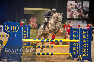 Jydske bank box
Ungheste chamionat spring heste
Nøgleord: taarupgaards highfly;espen christian espesen