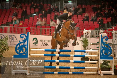 Jydske bank box
Ungheste chamionat spring heste
Nøgleord: bøgegårdens diarado-em;line hansen