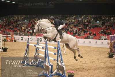 Jydske bank box
2022-03-10 csi3 medium tour 140cm
Nøgleord: torben frandsen;detroit