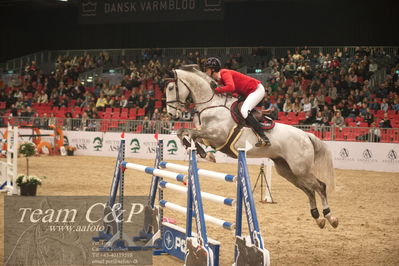 Jydske bank box
2022-03-10 csi3 medium tour 140cm
Nøgleord: christina madsen;zilver zazu