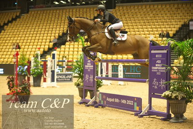 Jydske bank box
VM HERNING 2022 CSI3 Big Tour 1.45m
Nøgleord: caroline rehoff pedersen;calvin 115