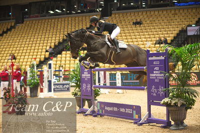 Jydske bank box
VM HERNING 2022 CSI3 Big Tour 1.45m
Nøgleord: laura baaring kjærgaard;chambertino z