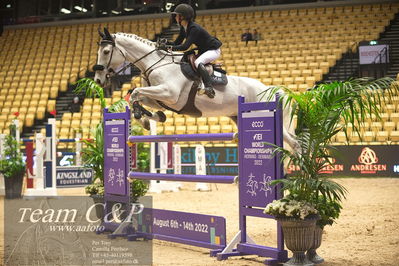 Jydske bank box
VM HERNING 2022 CSI3 Big Tour 1.45m
Nøgleord: anna-julie kontio;lopez vd oude heihoef