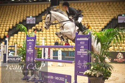 Jydske bank box
VM HERNING 2022 CSI3 Big Tour 1.45m
Nøgleord: eric ten cate;incredible