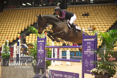 Jydske bank box
VM HERNING 2022 CSI3 Big Tour 1.45m
Nøgleord: erika lichhammer van helmond;hesjedal nl