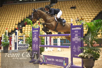 Jydske bank box
VM HERNING 2022 CSI3 Big Tour 1.45m
Nøgleord: wilma marklund;carlogero