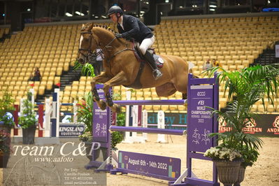 Jydske bank box
VM HERNING 2022 CSI3 Big Tour 1.45m
Nøgleord: matas petraitis;goldcoast vdl