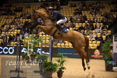 Jydske bank box
Stutteri Ask csi3big tour 150cm
Nøgleord: wojciech wojcianiec;chintablue