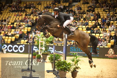 Jydske bank box
Stutteri Ask csi3big tour 150cm
Nøgleord: jesse luther;kruimel