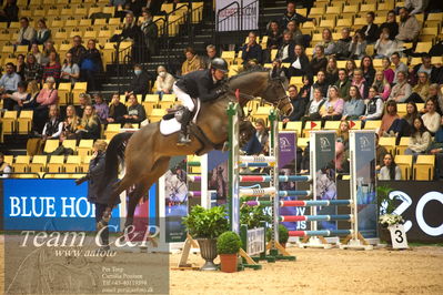 Jydske bank box
Stutteri Ask csi3big tour 150cm
Nøgleord: takashi haase shibayama;campai 3