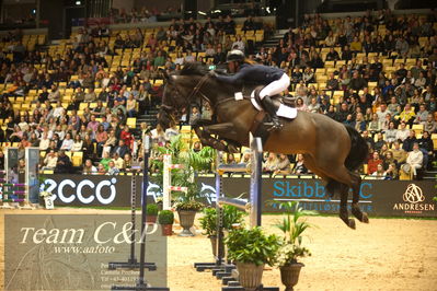 Jydske bank box
Stutteri Ask csi3big tour 150cm
Nøgleord: maureen bonder;flierefluiter