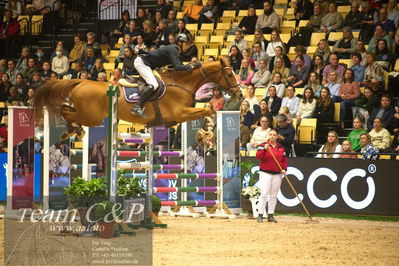 Jydske bank box
Stutteri Ask csi3big tour 150cm
Nøgleord: fredrik b seim;qevara van de vlierbeek z