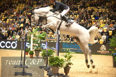 Jydske bank box
Stutteri Ask csi3big tour 150cm
Nøgleord: carsten-otto nagel;gk curacao