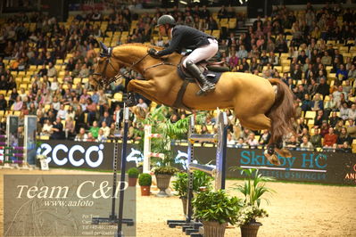 Jydske bank box
Stutteri Ask csi3big tour 150cm
Nøgleord: lars bak andersen;carl-heinz b