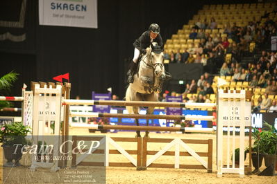 Jydske bank box
Stutteri Ask csi3big tour 150cm
Nøgleord: rolf gören bengtsson;zuzzero