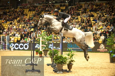 Jydske bank box
Stutteri Ask csi3big tour 150cm
Nøgleord: rolf gören bengtsson;zuzzero