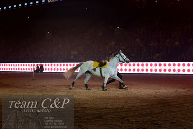 Jydske bank box
galashow
