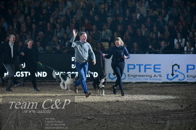 Jydske bank box
galashow
Nøgleord: ib kirk;hundeagilty