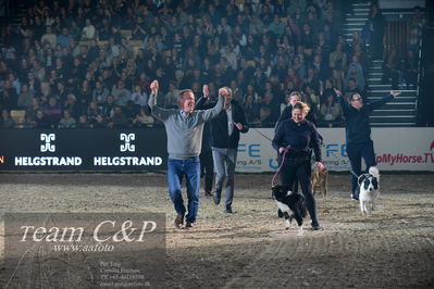 Jydske bank box
galashow
Nøgleord: ib kirk;hundeagilty