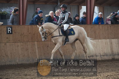 Hingstekåring i Grindsted Rideklub
Nøgleord: viggo b magiq;stald magi