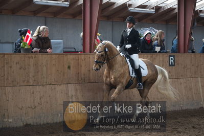 Hingstekåring i Grindsted Rideklub
Nøgleord: armani h;jeanette laursen