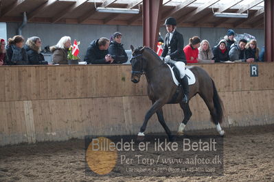 Hingstekåring i Grindsted Rideklub
Nøgleord: obelix;christina andersson