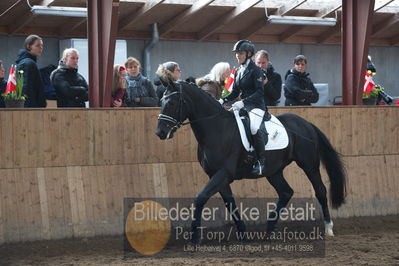 Hingstekåring i Grindsted Rideklub
Nøgleord: peterlunds black aslan;suanne aagaard nielsen