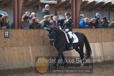 Hingstekåring i Grindsted Rideklub
Nøgleord: peterlunds black aslan;suanne aagaard nielsen