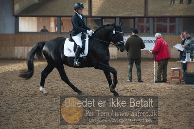 Hingstekåring i Grindsted Rideklub
Nøgleord: peterlunds black aslan;suanne aagaard nielsen