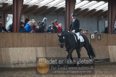 Hingstekåring i Grindsted Rideklub
Nøgleord: mosevangs mascot;visby hingstestation;hans jørgen hoeck