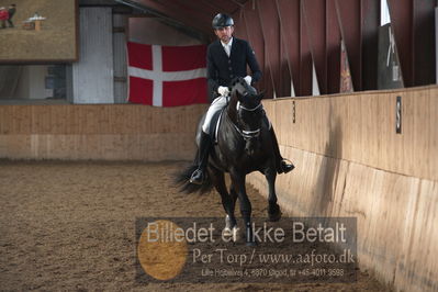 Hingstekåring i Grindsted Rideklub
Nøgleord: mosevangs mascot;visby hingstestation;hans jørgen hoeck