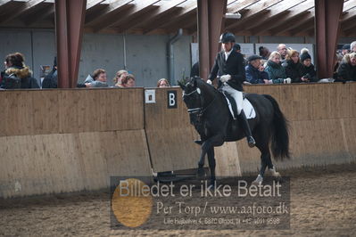 Hingstekåring i Grindsted Rideklub
Nøgleord: mosevangs mascot;visby hingstestation;hans jørgen hoeck