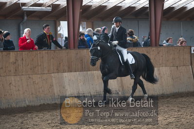 Hingstekåring i Grindsted Rideklub
Nøgleord: mosevangs mascot;visby hingstestation;hans jørgen hoeck