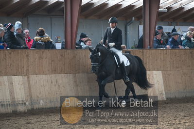 Hingstekåring i Grindsted Rideklub
Nøgleord: mosevangs mascot;visby hingstestation;hans jørgen hoeck