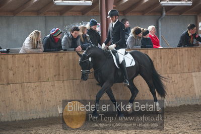 Hingstekåring i Grindsted Rideklub
Nøgleord: mosevangs mascot;visby hingstestation;hans jørgen hoeck