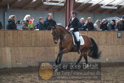 Hingstekåring i Grindsted Rideklub
Nøgleord: fago af toftlundgaard;marianne og lars kjeldstrøm