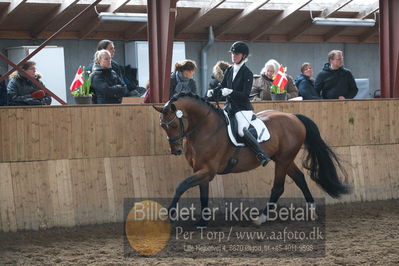 Hingstekåring i Grindsted Rideklub
Nøgleord: rosengårdens vilano;jens rosengaard hansen;ann-sofie g