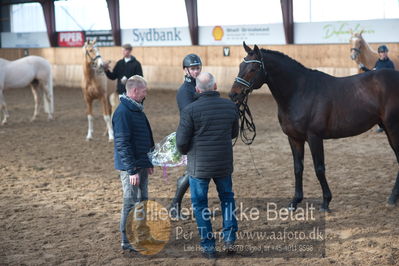 Hingstekåring i Grindsted Rideklub
Nøgleord: rex shipping xx;mark ovesen;klaus holm