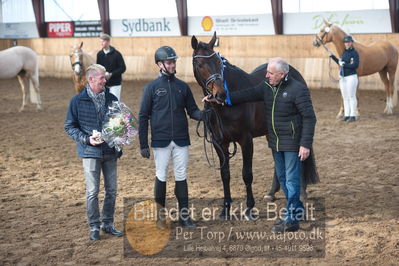 Hingstekåring i Grindsted Rideklub
Nøgleord: rex shipping xx;mark ovesen;klaus holm