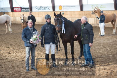 Hingstekåring i Grindsted Rideklub
Nøgleord: rex shipping xx;mark ovesen;klaus holm