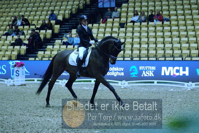 Dansk varmblod hingstekåring.
unghestemesterskab dressur
Nøgleord: søbakkehus sir danois dwb;maria n kristensen