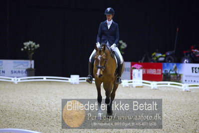 Dansk varmblod hingstekåring.
unghestemesterskab dressur
Nøgleord: miss holsteins marikka;karin nissen