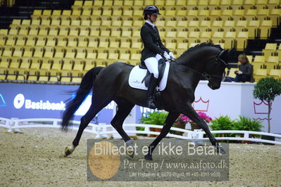 Dansk varmblod hingstekåring.
unghestemesterskab dressur
Nøgleord: zidan-dn;betina jæger