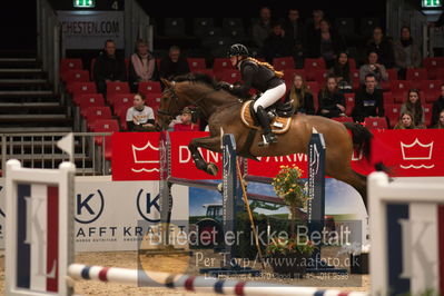 Dansk varmblod hingstekåring.
kraft tour of ameteurs
Nøgleord: alberte studsgaaard;cobold 51