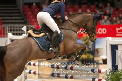 Dansk varmblod hingstekåring.
kraft tour of ameteurs
Nøgleord: louise jorsal;kiara