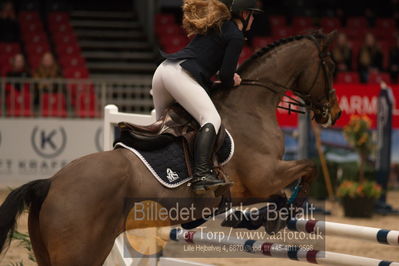 Dansk varmblod hingstekåring.
kraft tour of ameteurs
Nøgleord: emilie lejsgaard schwensen;cibello