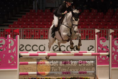 Dansk varmblod hingstekåring.
kraft tour of ameteurs
Nøgleord: line foldager madsen;jasmin