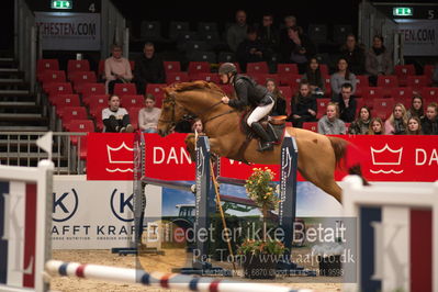 Dansk varmblod hingstekåring.
kraft tour of ameteurs
Nøgleord: berit wheler;lasar h