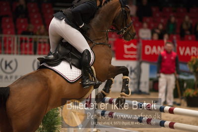 Dansk varmblod hingstekåring.
kraft tour of ameteurs
Nøgleord: sanne fanøe zimmer;louisiana